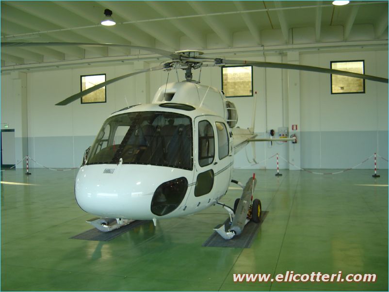 elifoto (77)